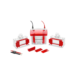 Mini Vertical Electrophoresis Cell